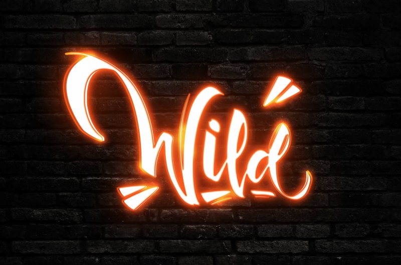 Hintergrund Veranstaltungsreihe WILD
