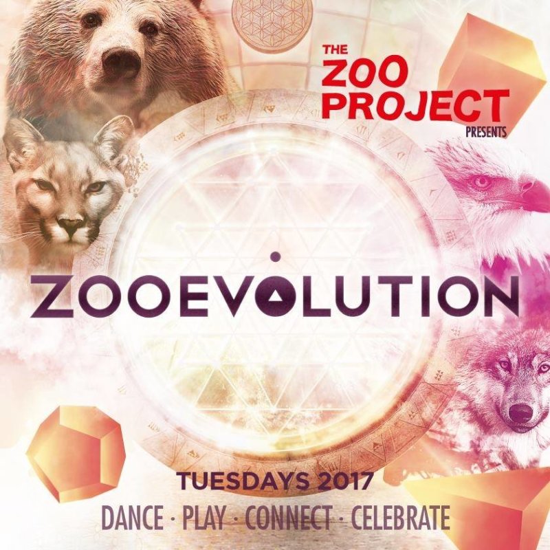 Hintergrund Veranstaltungsreihe Zoo Evolution - Ibiza